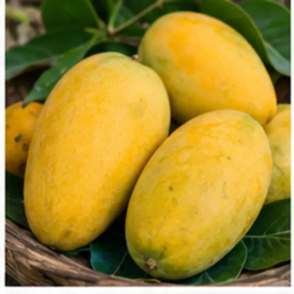 আম