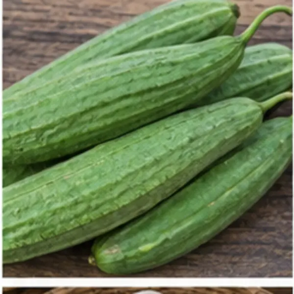 ধুন্দুল