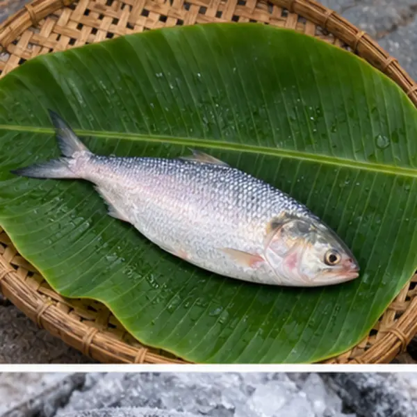 ছোট ইলিশ