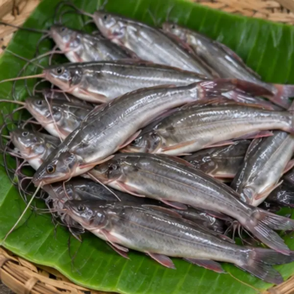 টেংরা