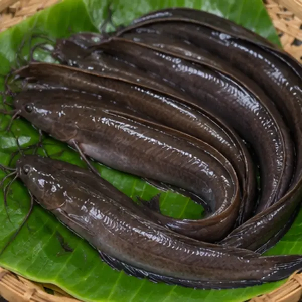 শিং