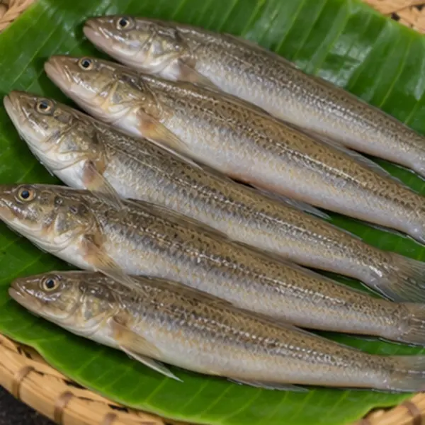 বেলে