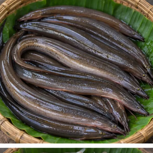 বাইম
