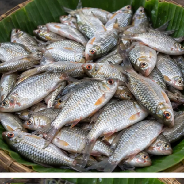পুঁটি