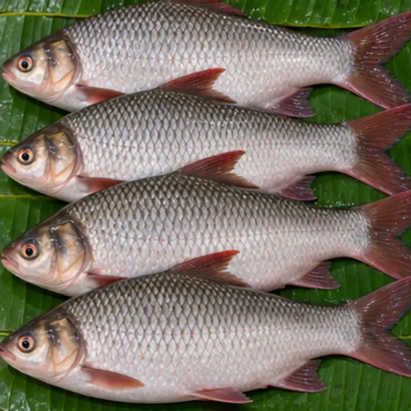 রাজপুঁটি