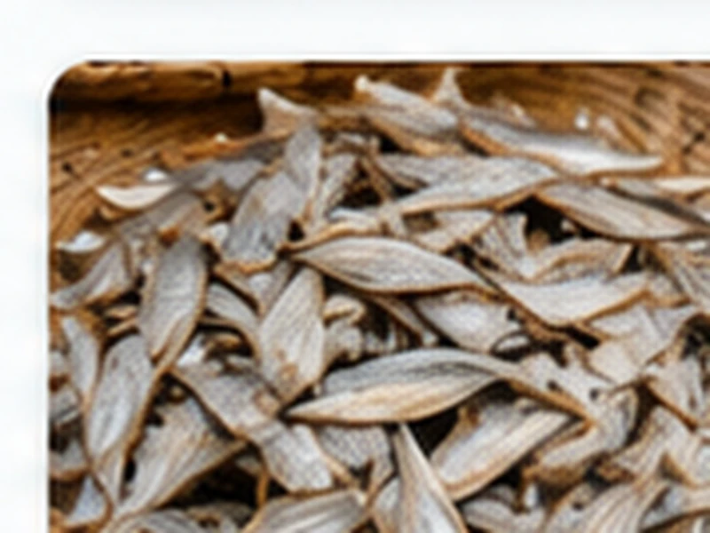 চাপিলা শুটকি