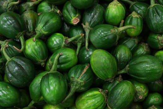 বেগুন