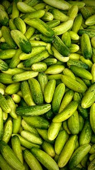 শসা