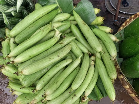 ঢেঁড়স